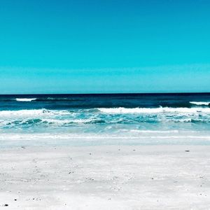 Meet your Posher, Sienna